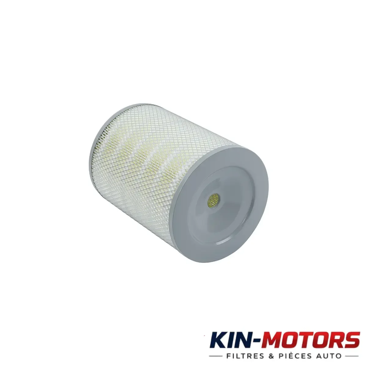Filtre Air Fleetguard AF4575