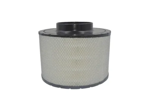 Filtre Air FG Wilson 10000-57057
